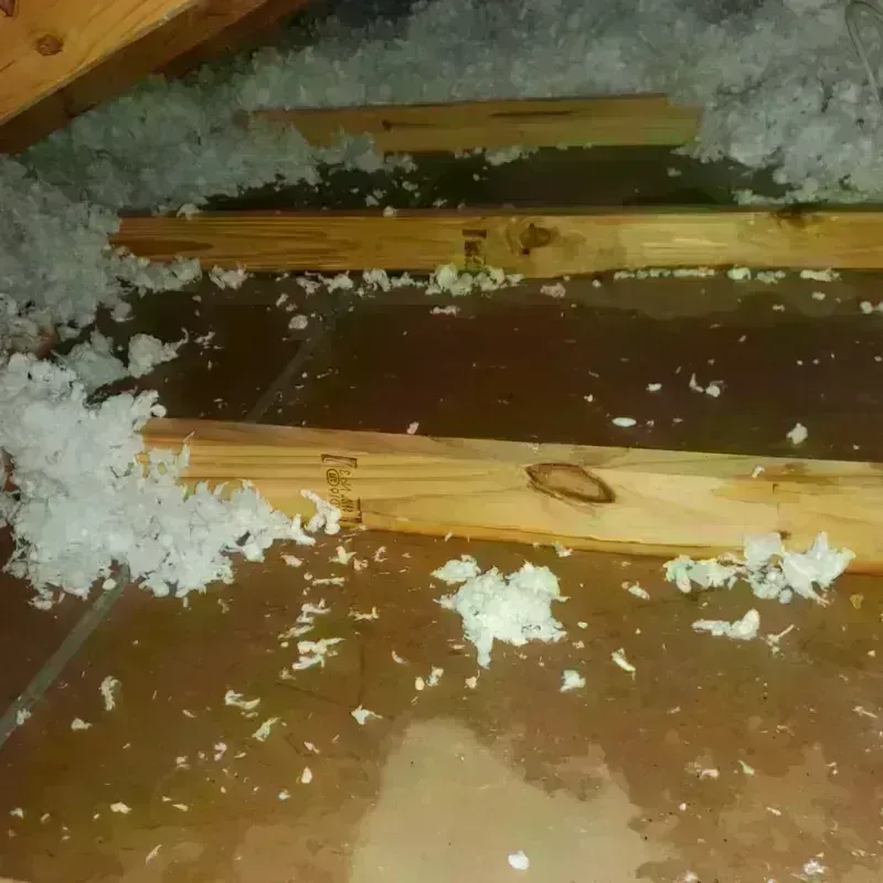 Attic Water Damage in Leverett, MA